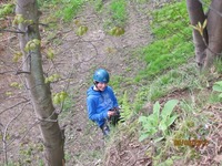 Climbing Wall photo