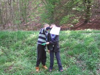 Frisbee Golf photo