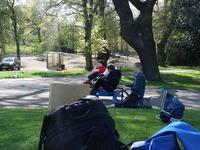 Pedal Carts photo