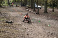 Pedal Carts photo