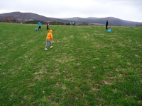 Frisbee Golf photo