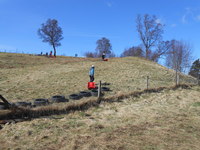Grass Sledging photo