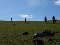 Mountain Boards photo