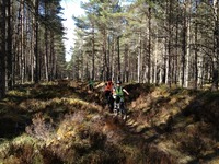 Mountain Biking photo
