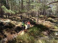 Mountain Biking photo