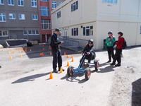 Pedal Cars photo