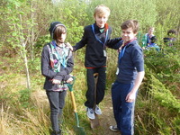 Service Project photo