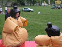Sumo Wrestling photo
