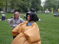 Sumo Wrestling photo