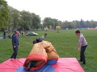Sumo Wrestling photo