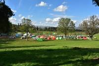 Camp Views photo
