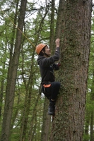 Leap of Faith photo