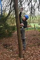 Peg Pole Climb photo