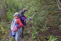 Service Project photo