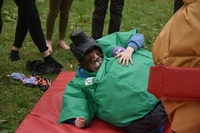 Sumo photo