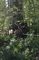 Tyrolean photo
