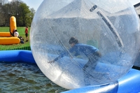 Water Walkers photo