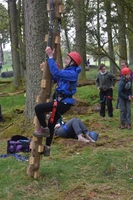 Wobble Pole photo