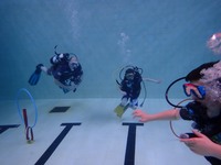Scuba photo