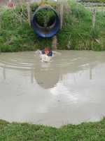 Assault Course photo