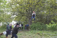 3G Swing photo