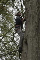 Leap of faith photo