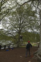 Leap of faith photo