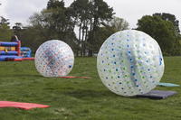 Zorbing photo