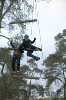 Jacobs Ladder photo