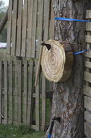 Tomahawk Throwing photo