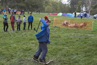 Tomahawk Throwing photo