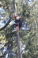 Peg Pole Climb photo