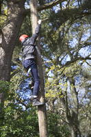 Peg Pole Climb photo