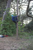 Peg Pole Climb photo