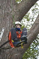 Rope Ladder photo