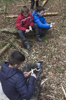 Bush Craft photo