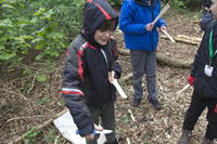 Bush Craft photo