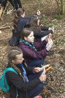 Bush Craft photo