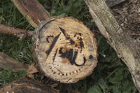 Branding photo
