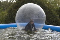 Water Walkers photo