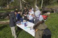 Camp Cooking photo