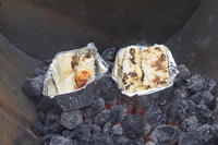 Camp Cooking photo
