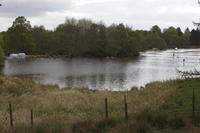 Camp Site photo