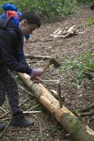 Service Project photo
