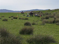 Quads photo