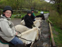 Multi Activity - Mini Railway/Swimming/Pony Trekking photo