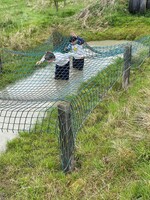 Assault Course photo