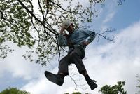 Crate Climbing photo