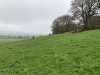 Grass Sledging, Mountain Boards and Land Yachts photo