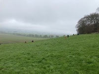 Grass Sledging, Mountain Boards and Land Yachts photo